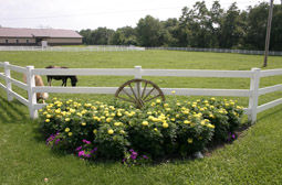 fencing at Leisure World