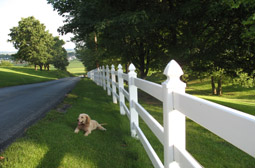 fencing at Leisure World